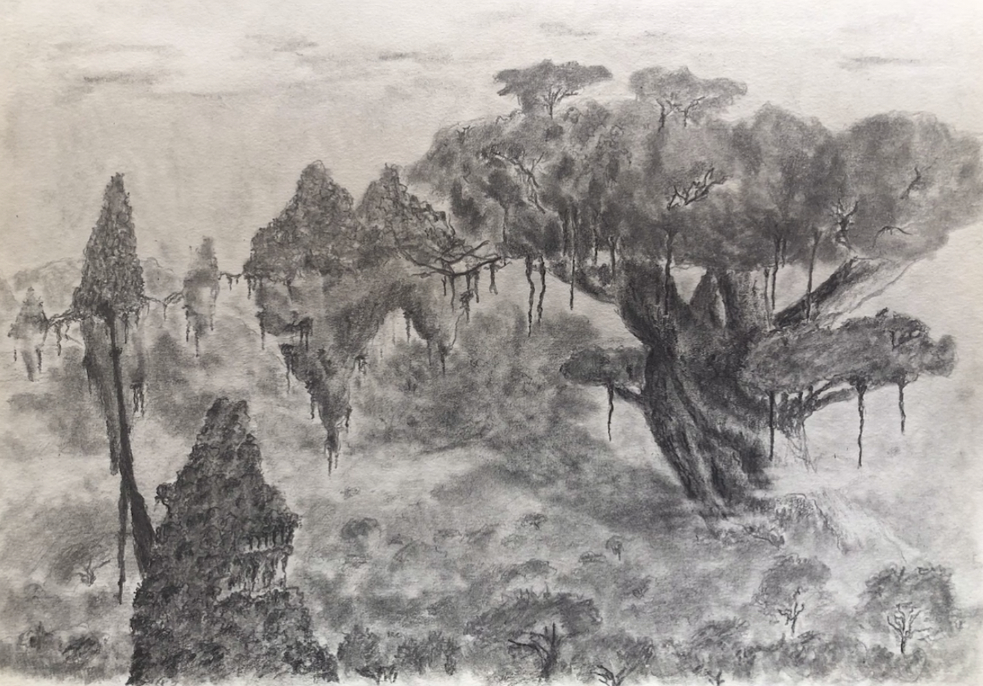 Drawing